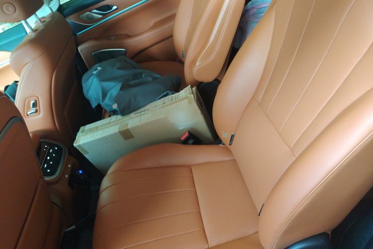 Used Wey Lanshan 2025 Four-Wheel Drive Max Left Rear Seat
