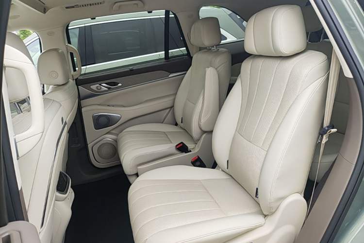 Used Wey Lanshan 2025 Four-Wheel Drive Ultra Left Rear Seat