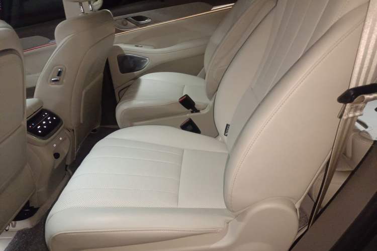 Used Wey Lanshan 2025 Four-Wheel Drive Ultra Left Rear Seat