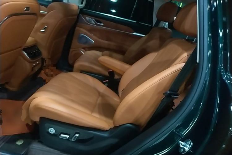 Used Wey Lanshan 2025 Four-Wheel Drive Max Left Rear Seat
