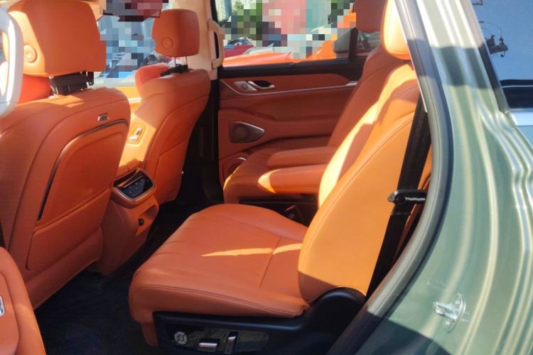 Used Wey Lanshan 2025 Four-Wheel Drive Ultra Left Rear Seat