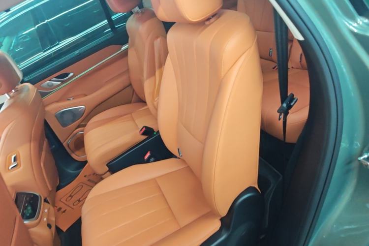 Used Wey Lanshan 2025 Four-Wheel Drive Ultra Left Rear Seat