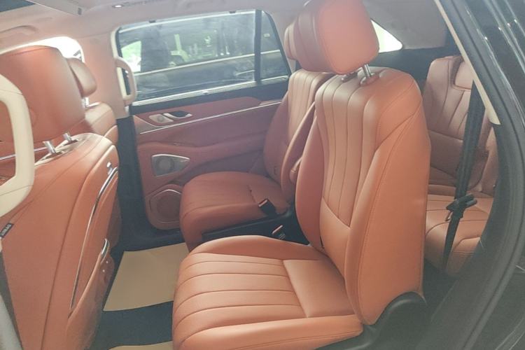Used Wey Lanshan 2025 Four-Wheel Drive Max Left Rear Seat