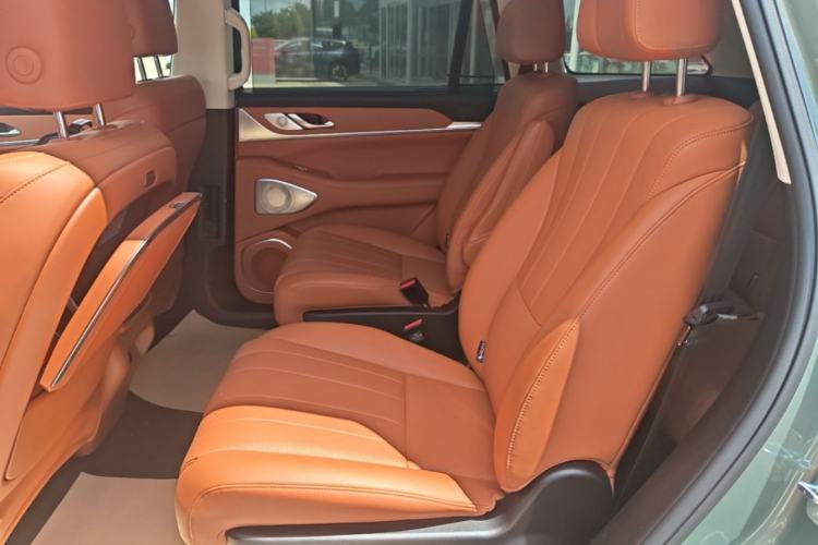 Used Wey Lanshan 2025 Four-Wheel Drive Max Left Rear Seat