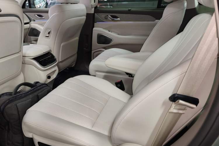 Used Wey Lanshan 2025 Four-Wheel Drive Ultra Left Rear Seat