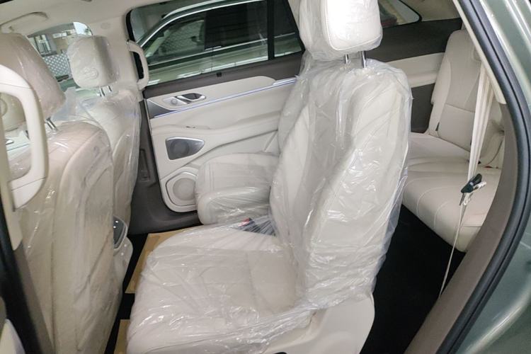 Used Wey Lanshan 2025 Four-Wheel Drive Max Left Rear Seat