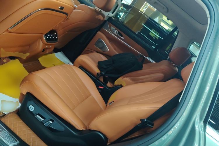 Used Wey Lanshan 2025 Four-Wheel Drive Ultra Left Rear Seat