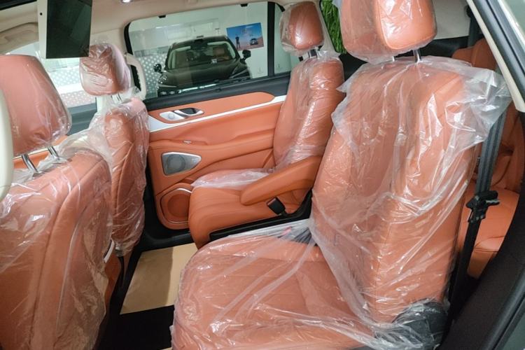 Used Wey Lanshan 2025 Four-Wheel Drive Max Left Rear Seat