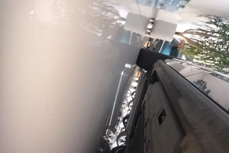 Used Wey Lanshan 2025 Four-Wheel Drive Max Left Side Sill