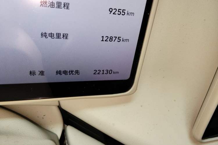 Used Wey Lanshan 2025 Four-Wheel Drive Max Odometer Close Up