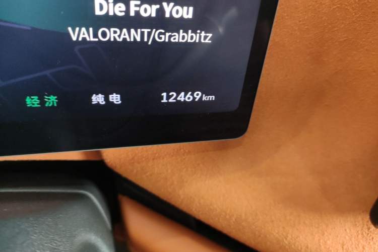 Used Wey Lanshan 2025 Four-Wheel Drive Ultra Odometer Close Up