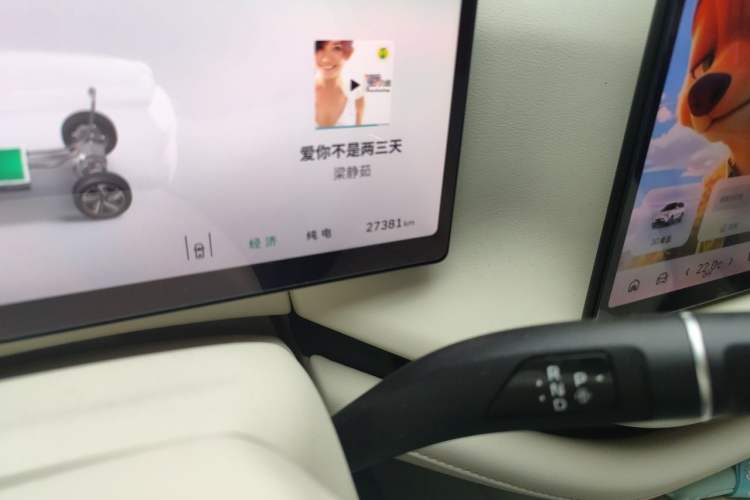 Used Wey Lanshan 2025 Four-Wheel Drive Max Odometer Close Up
