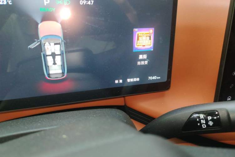 Used Wey Lanshan 2025 Four-Wheel Drive Max Odometer Close Up