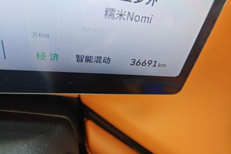 Used Wey Lanshan 2025 Four-Wheel Drive Max Odometer Close Up