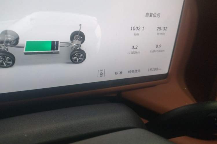 Used Wey Lanshan 2025 Four-Wheel Drive Max Odometer Close Up