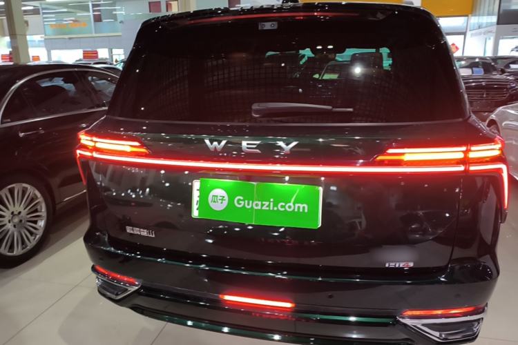 Used Wey Lanshan 2025 Four-Wheel Drive Max Rear