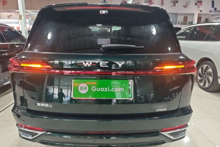 Used Wey Lanshan 2025 Four-Wheel Drive Max Rear