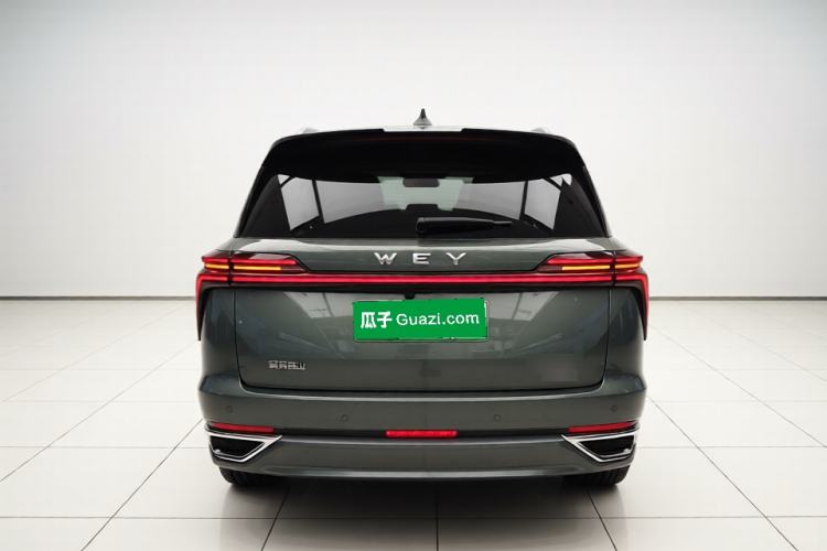 Used Wey Lanshan 2025 Four-Wheel Drive Ultra Rear