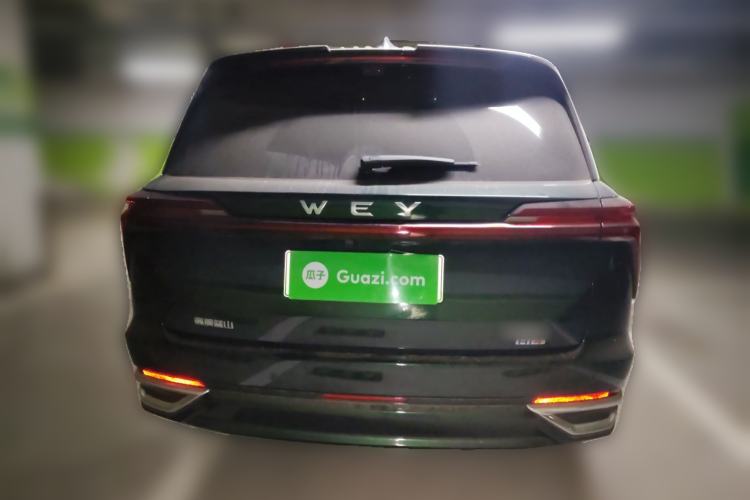 Used Wey Lanshan 2025 Four-Wheel Drive Max Rear