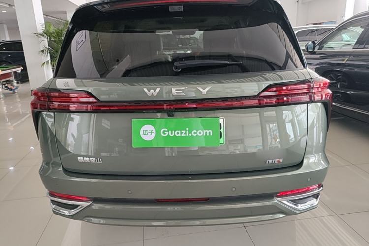 Used Wey Lanshan 2025 Four-Wheel Drive Max Rear