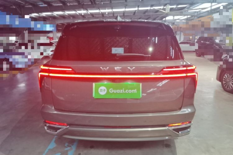 Used Wey Lanshan 2025 Four-Wheel Drive Max Rear