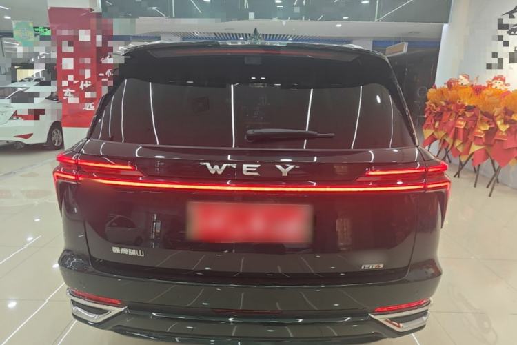 Used Wey Lanshan 2025 Four-Wheel Drive Max Rear
