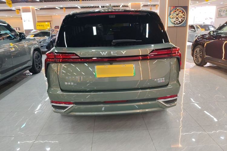Used Wey Lanshan 2025 Four-Wheel Drive Ultra Rear
