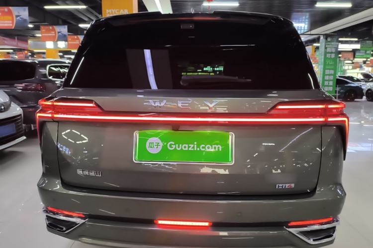 Used Wey Lanshan 2025 Four-Wheel Drive Ultra Rear