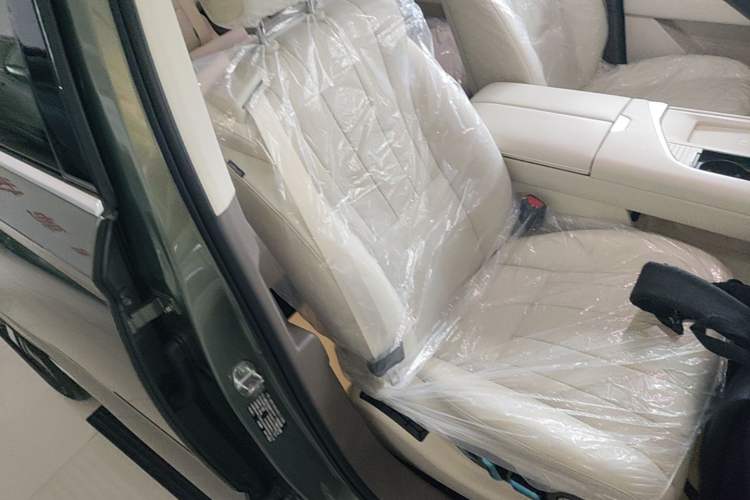 Used Wey Lanshan 2025 Four-Wheel Drive Max Right Front Seat
