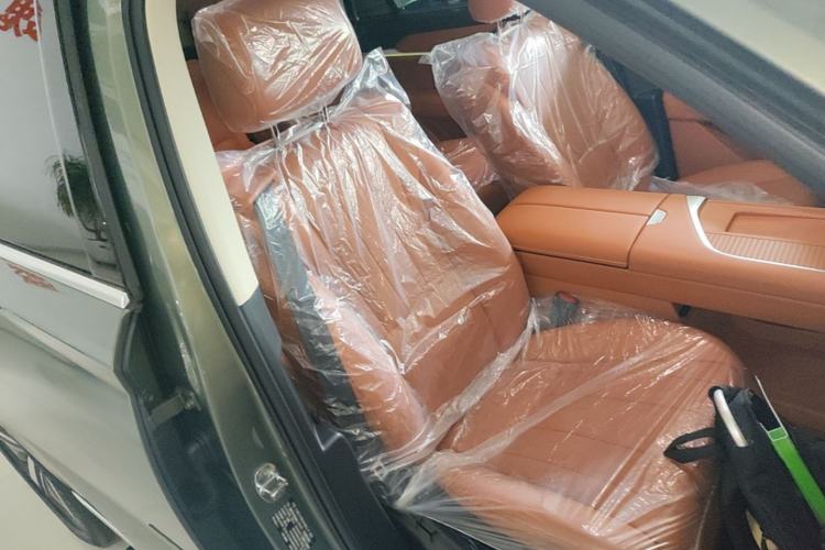 Used Wey Lanshan 2025 Four-Wheel Drive Max Right Front Seat