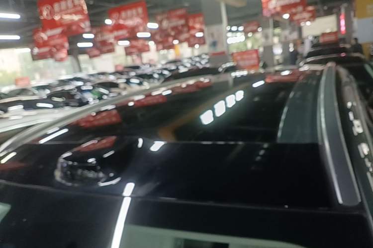 Used Wey Lanshan 2025 Four-Wheel Drive Ultra Roof
