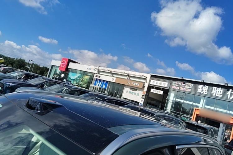 Used Wey Lanshan 2025 Four-Wheel Drive Max Roof