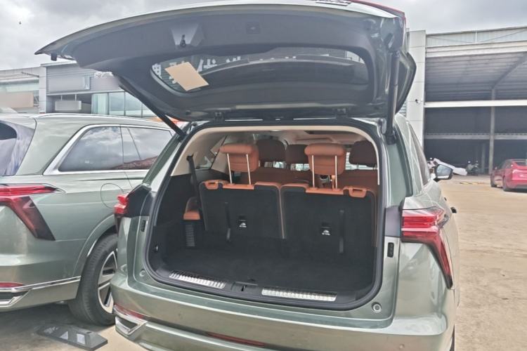 Used Wey Lanshan 2025 Four-Wheel Drive Ultra Trunk