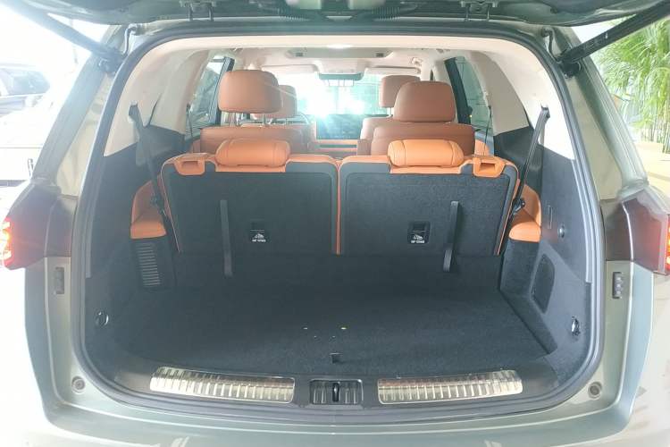 Used Wey Lanshan 2025 Four-Wheel Drive Ultra Trunk