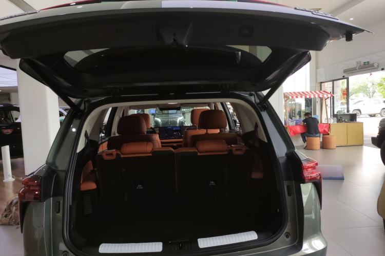 Used Wey Lanshan 2025 Four-Wheel Drive Ultra Trunk