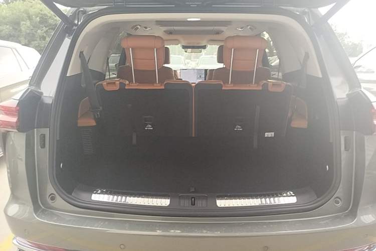 Used Wey Lanshan 2025 Four-Wheel Drive Ultra Trunk