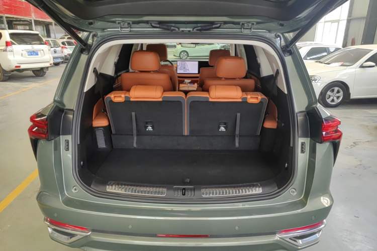 Used Wey Lanshan 2025 Four-Wheel Drive Ultra Trunk