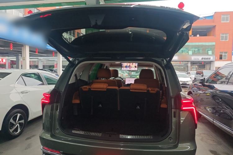 Used Wey Lanshan 2025 Four-Wheel Drive Ultra Trunk