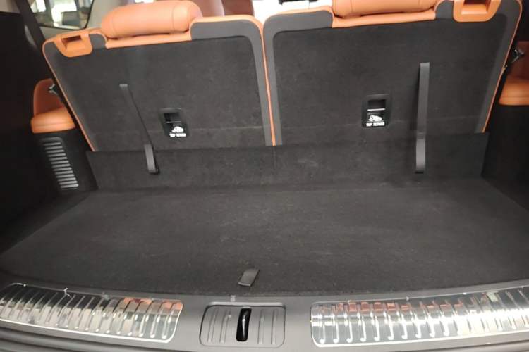 Used Wey Lanshan 2025 Four-Wheel Drive Ultra Trunk