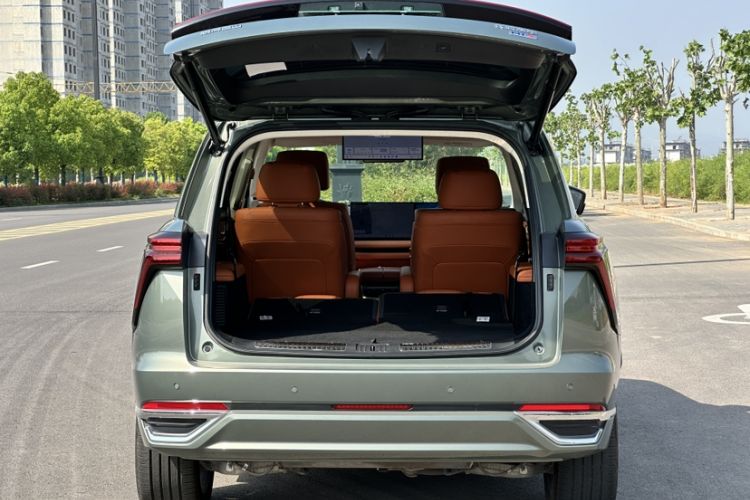 Used Wey Lanshan 2025 Four-Wheel Drive Ultra Trunk