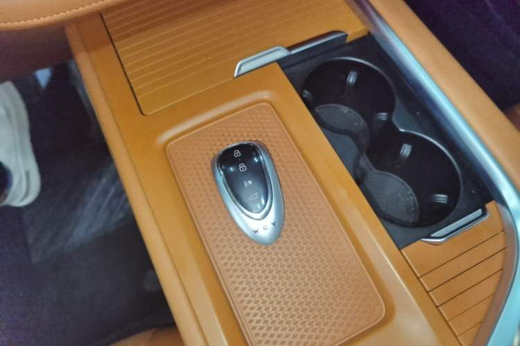 Used Wey Lanshan 2025 Four-Wheel Drive Max Vehicle Key