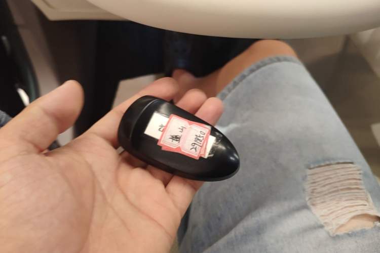 Used Wey Lanshan 2025 Four-Wheel Drive Max Vehicle Key