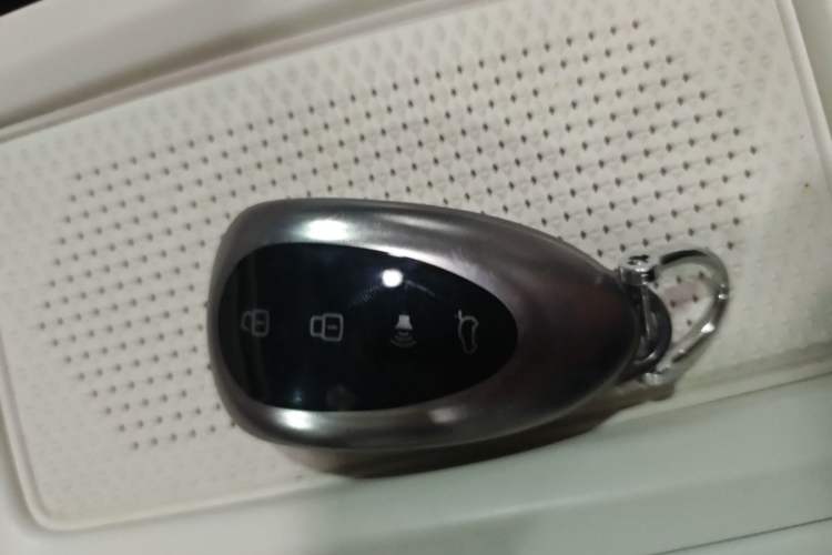 Used Wey Lanshan 2025 Four-Wheel Drive Max Vehicle Key