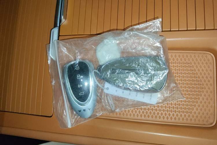 Used Wey Lanshan 2025 Four-Wheel Drive Max Vehicle Key