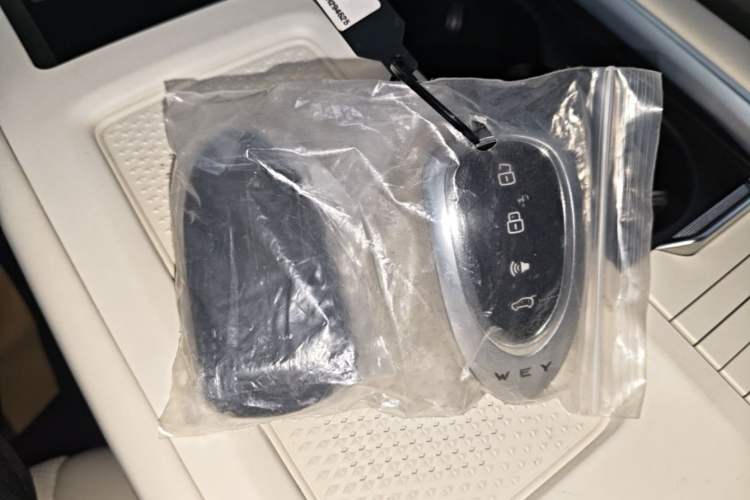 Used Wey Lanshan 2025 Four-Wheel Drive Max Vehicle Key