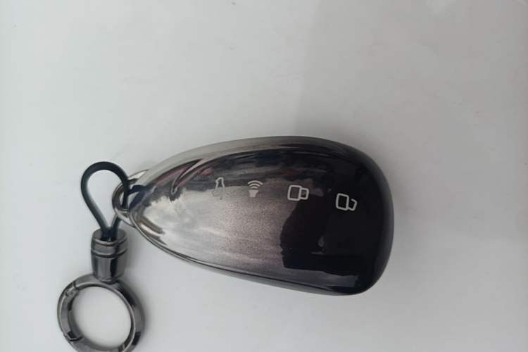 Used Wey Lanshan 2025 Four-Wheel Drive Max Vehicle Key