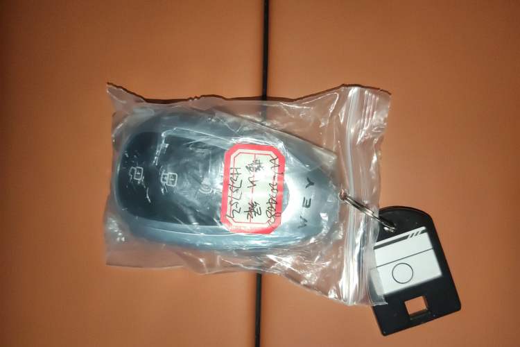 Used Wey Lanshan 2025 Four-Wheel Drive Ultra Vehicle Key