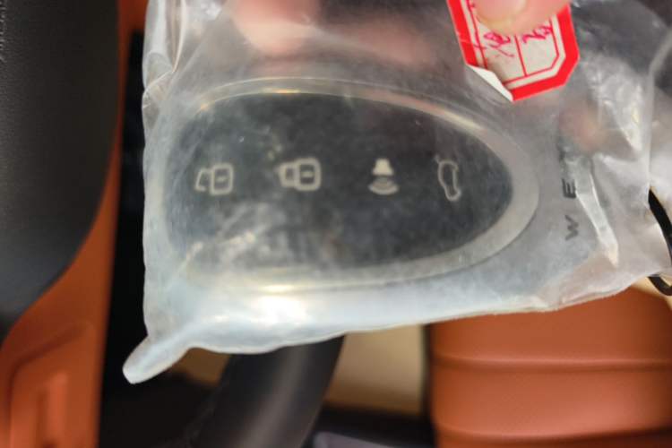Used Wey Lanshan 2025 Four-Wheel Drive Max Vehicle Key