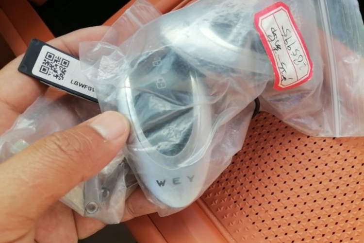Used Wey Lanshan 2025 Four-Wheel Drive Ultra Vehicle Key