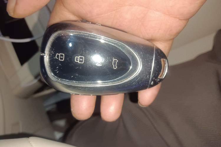 Used Wey Lanshan 2025 Four-Wheel Drive Ultra Vehicle Key